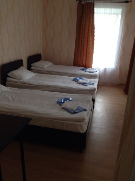 Фото Базилик 