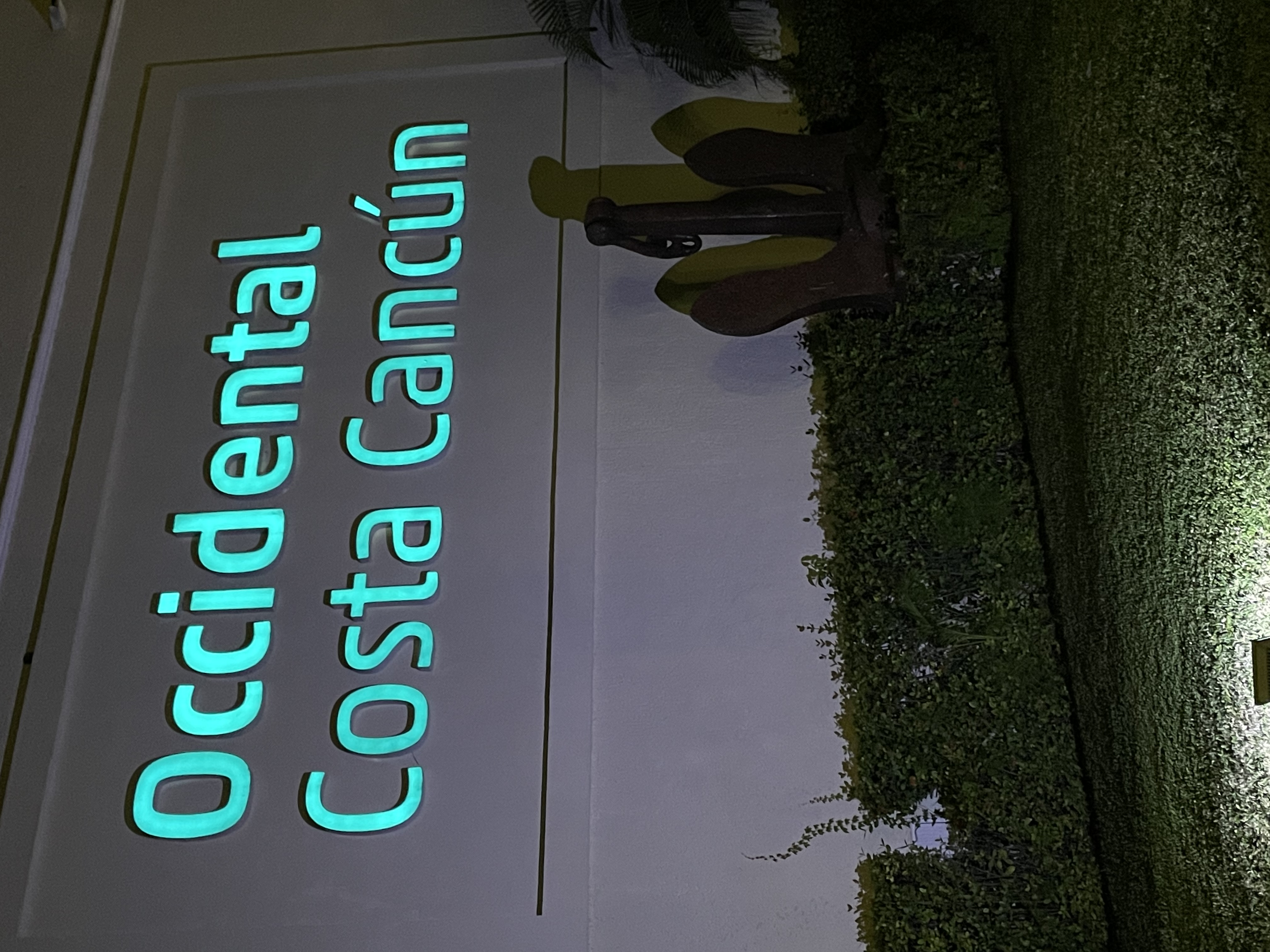 Фото Occidental Costa Cancún