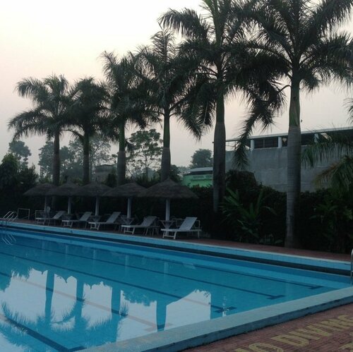 Гостиница Central Palms Hotel
