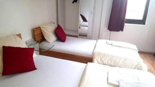 Фото Dionysos Traube