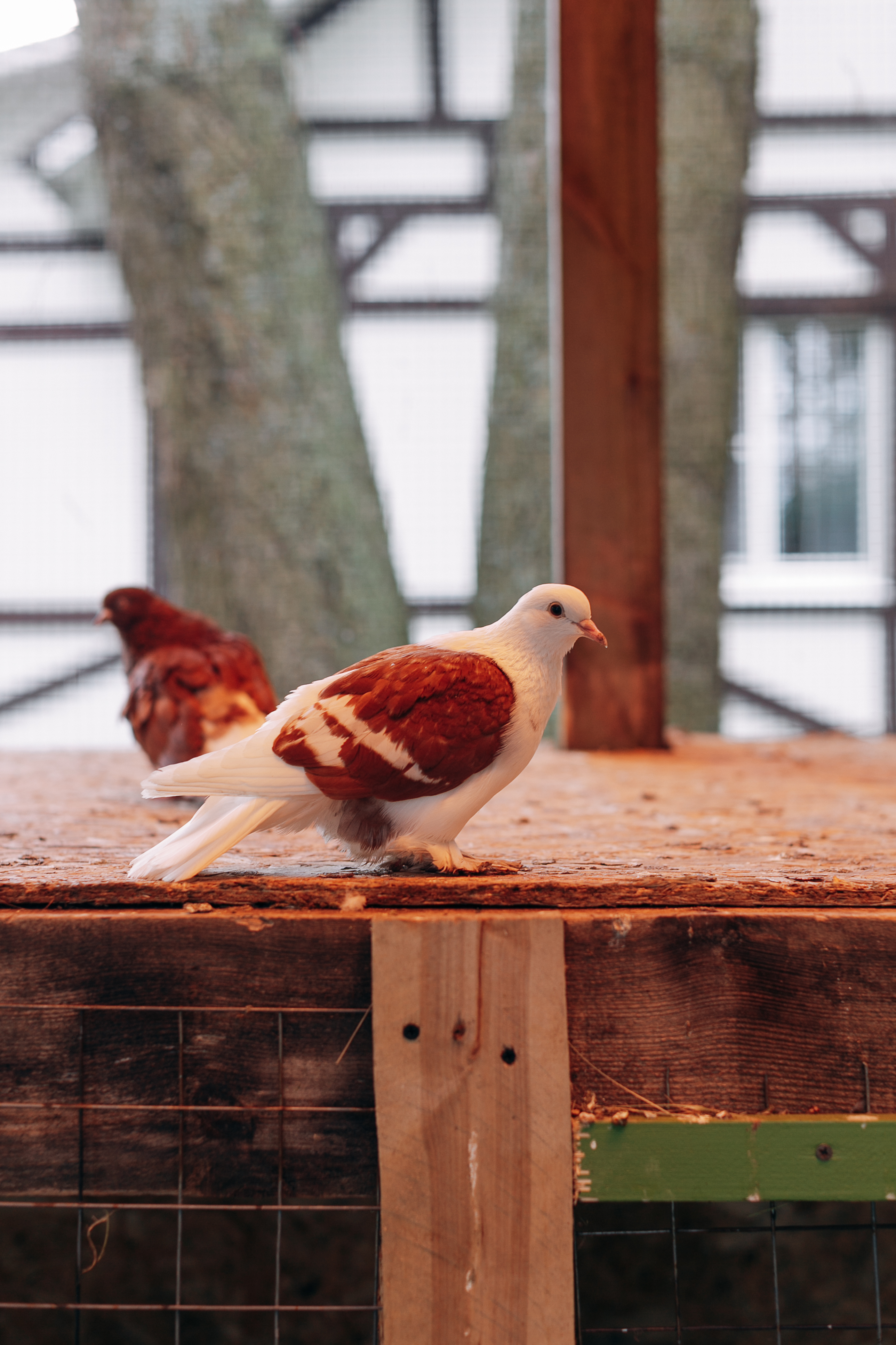 Фото Галдым