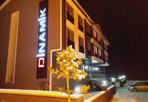 Гостиница Dinamik Otel в Сарыкамыше