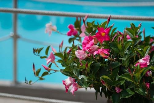 Фото Hotel Bristol