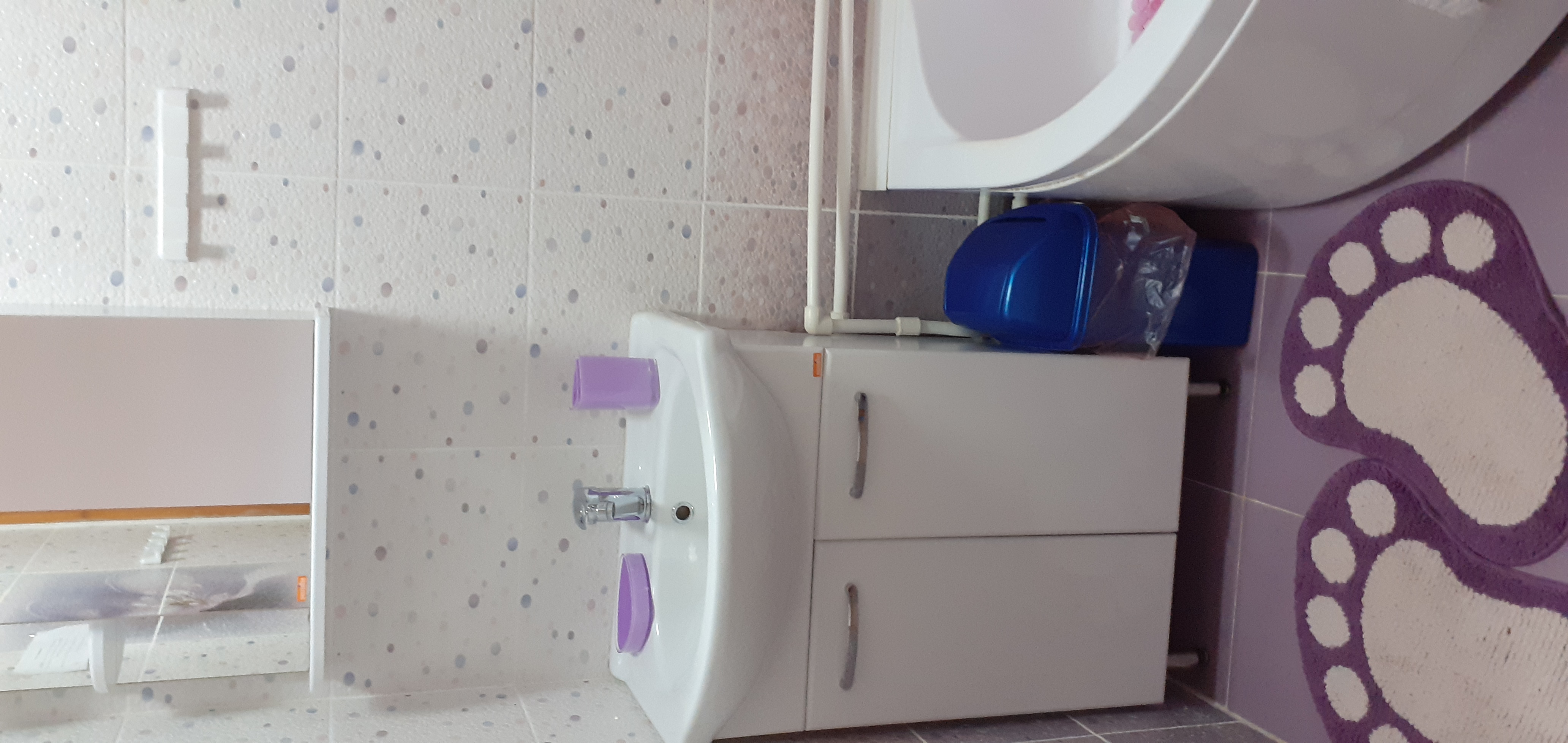 Фото Березка