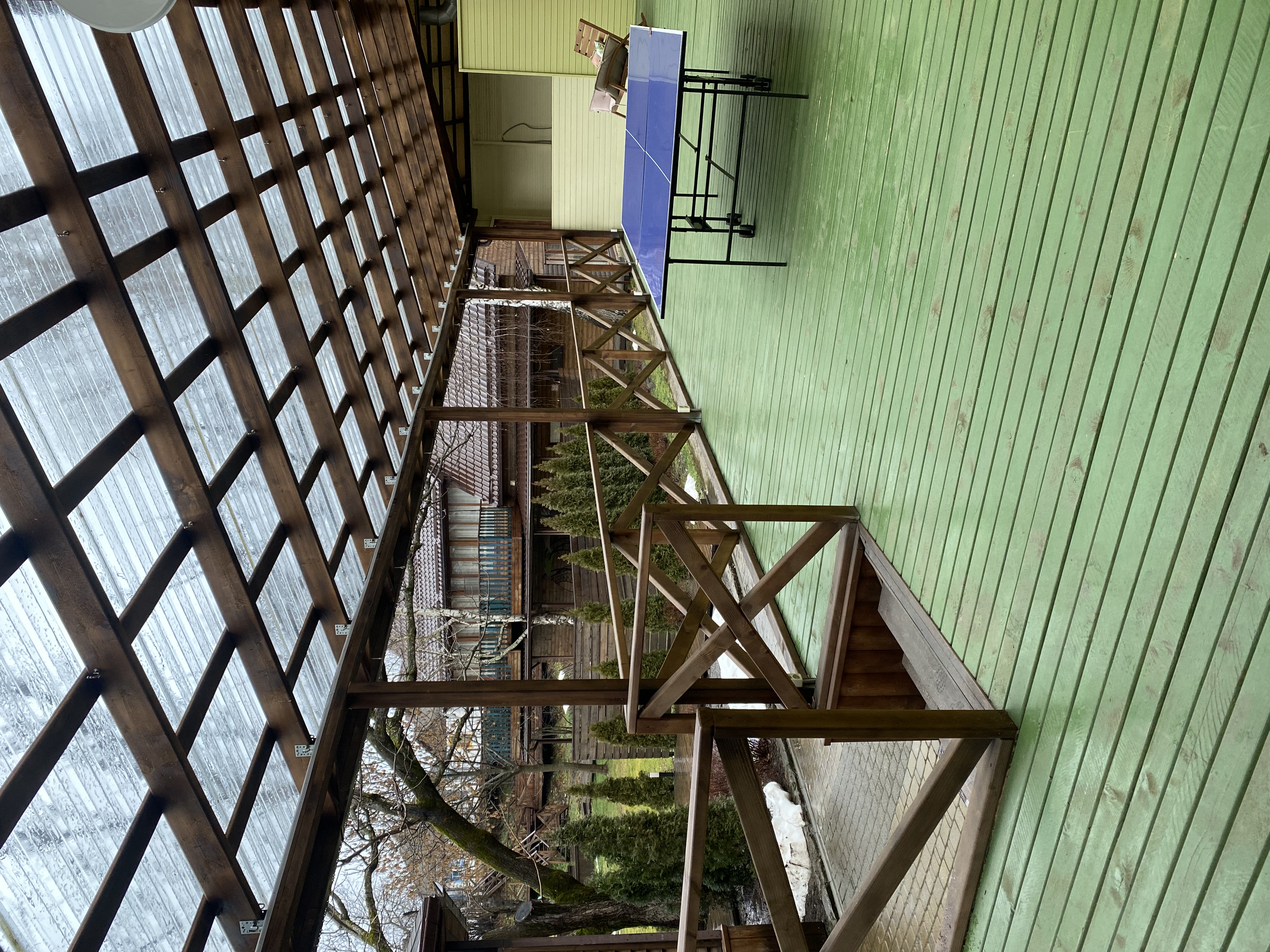 Фото Березки