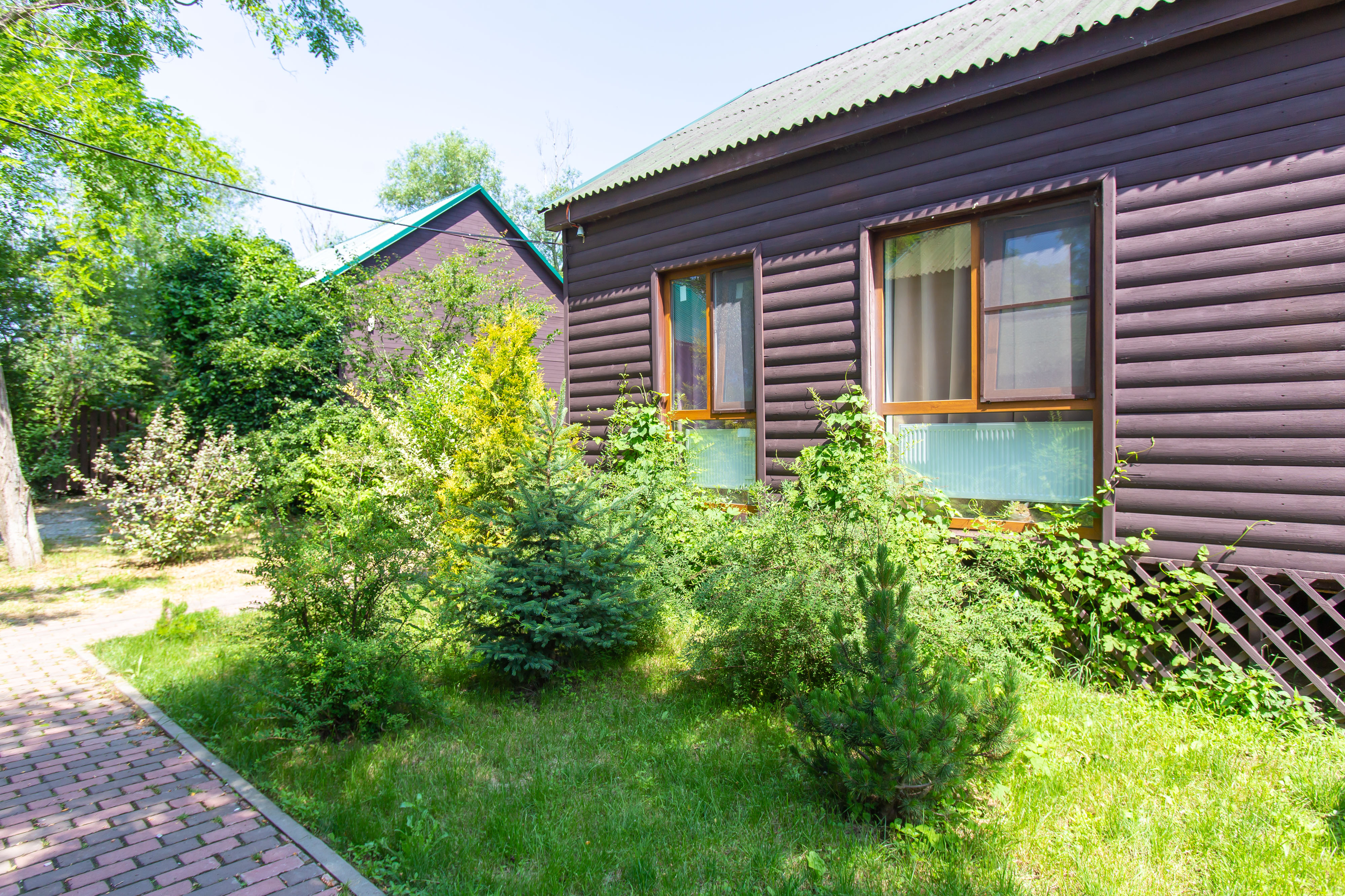 Фото Поляна