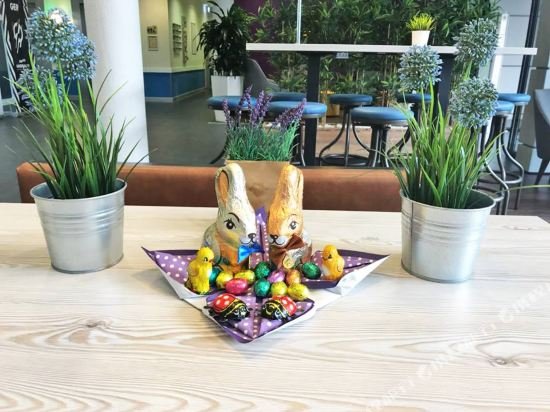 Фото Ibis budget Koeln Messe