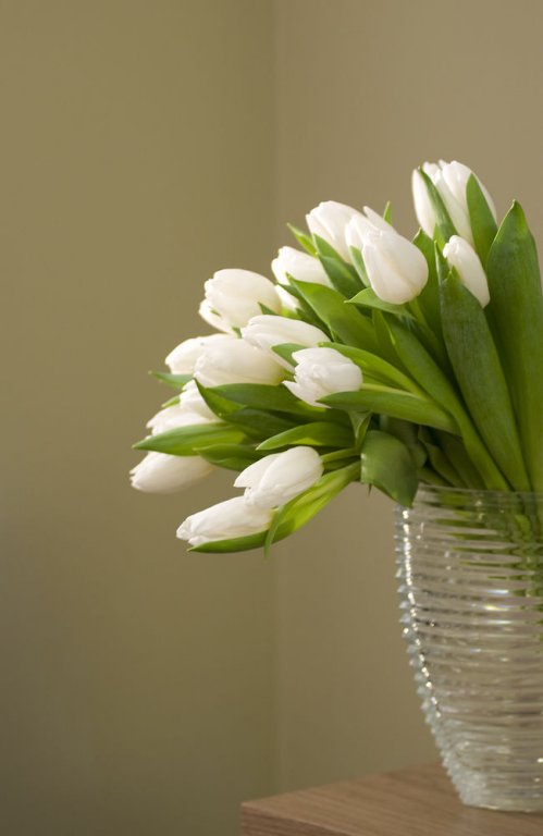 Фото Hotel Rinascimento