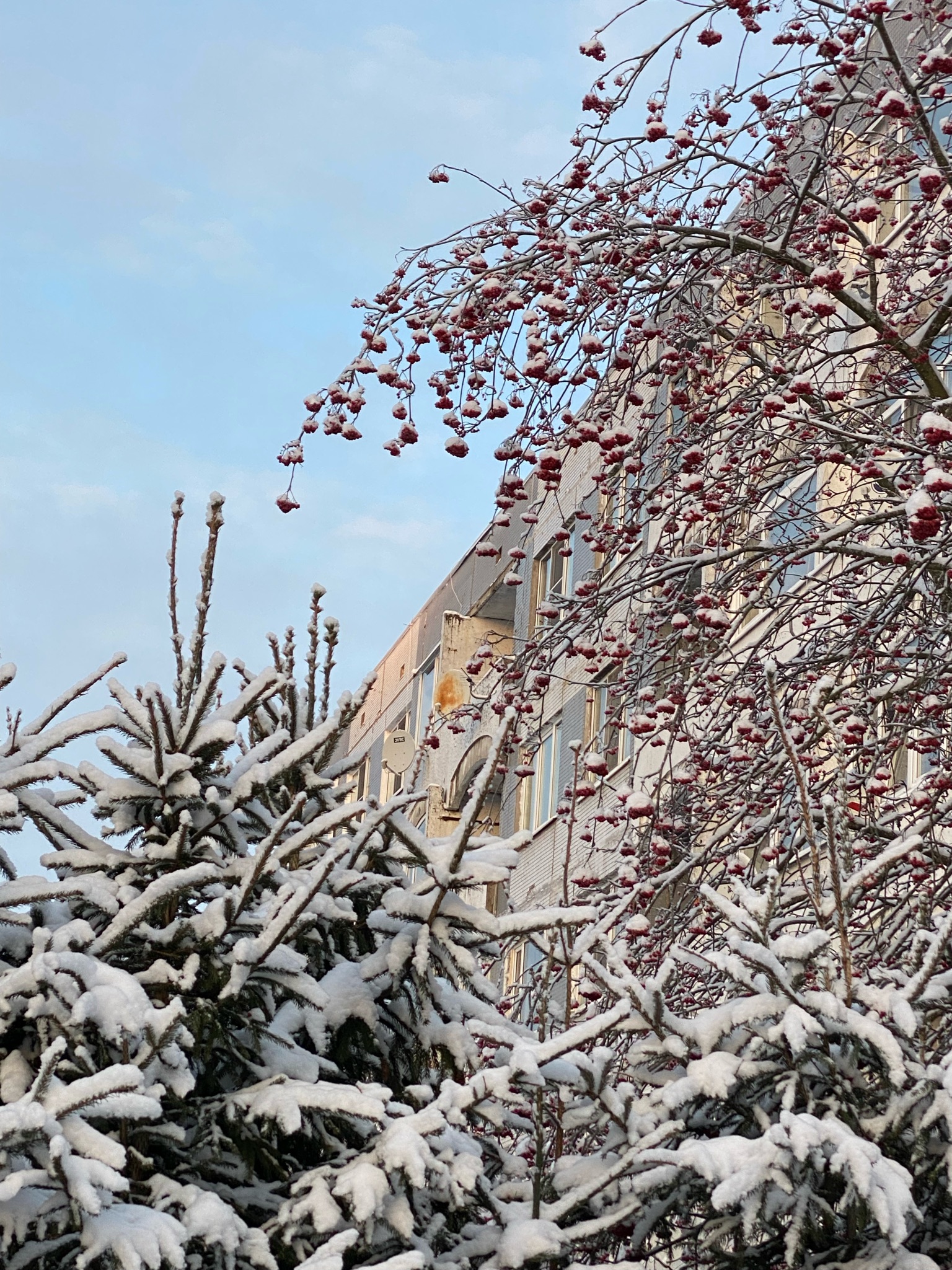 Фото Кировские дачи