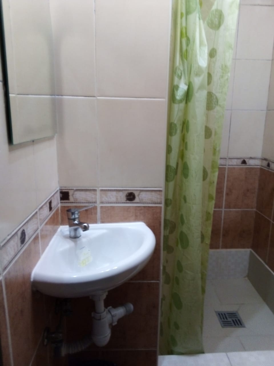 Фото Вежливый лось на Юго-Восточной