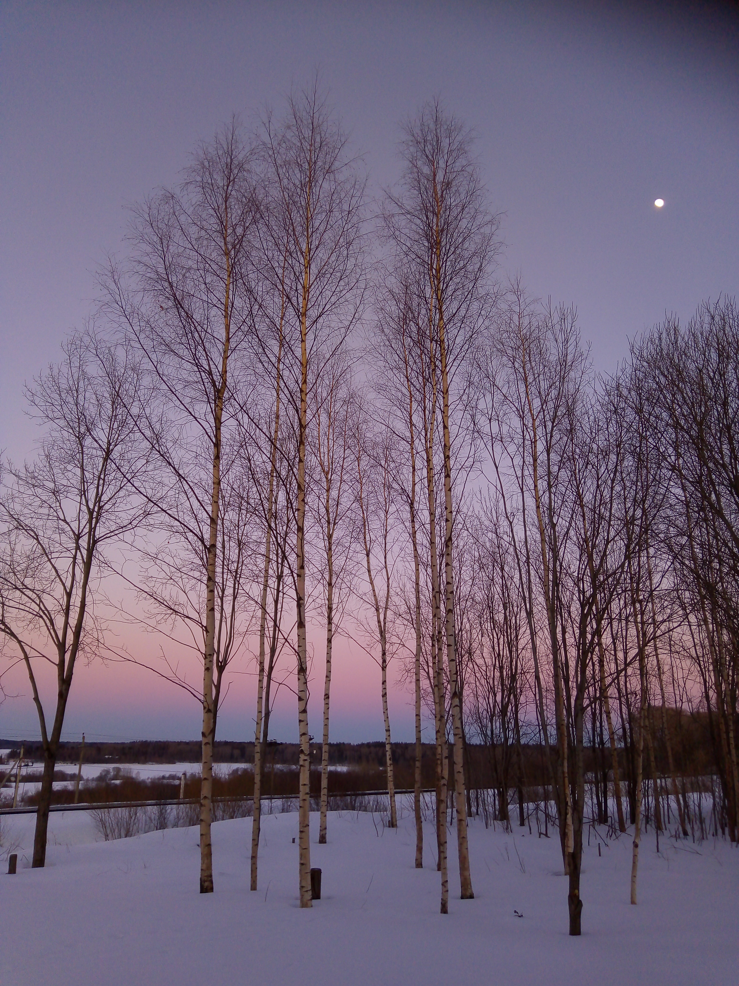 Фото Зимнегорье