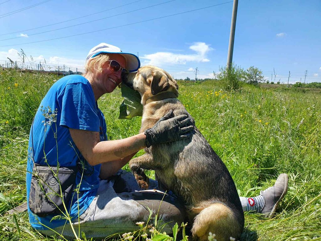 Charity fund Фонд защиты животных Иркутской области Ной, Irkutsk Oblast, photo