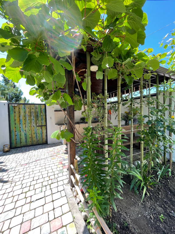 Фото Гостевой дом Гера