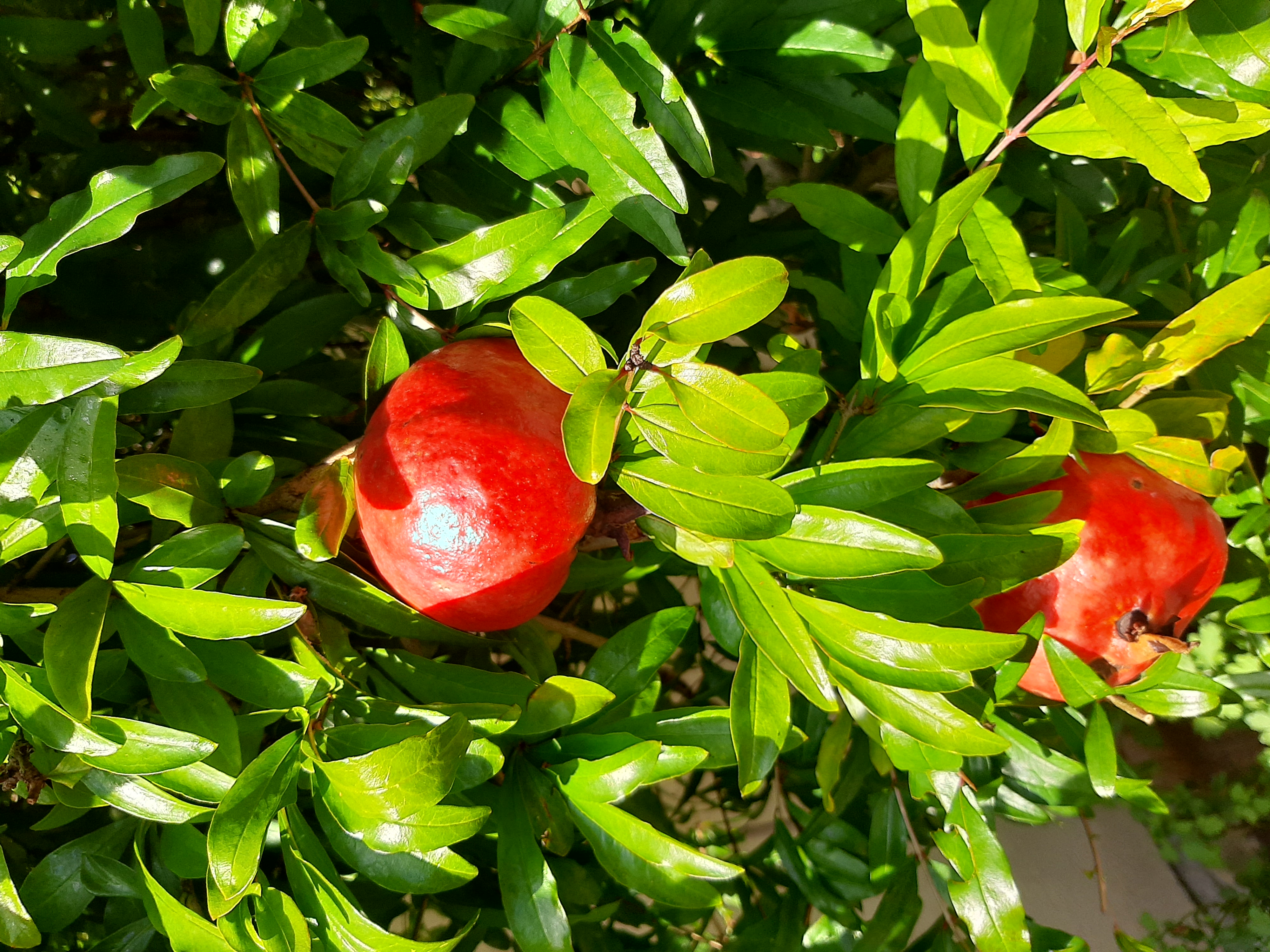 Фото Река и Море