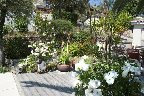 Гостиница Résidence Ogliastrello в Сартене