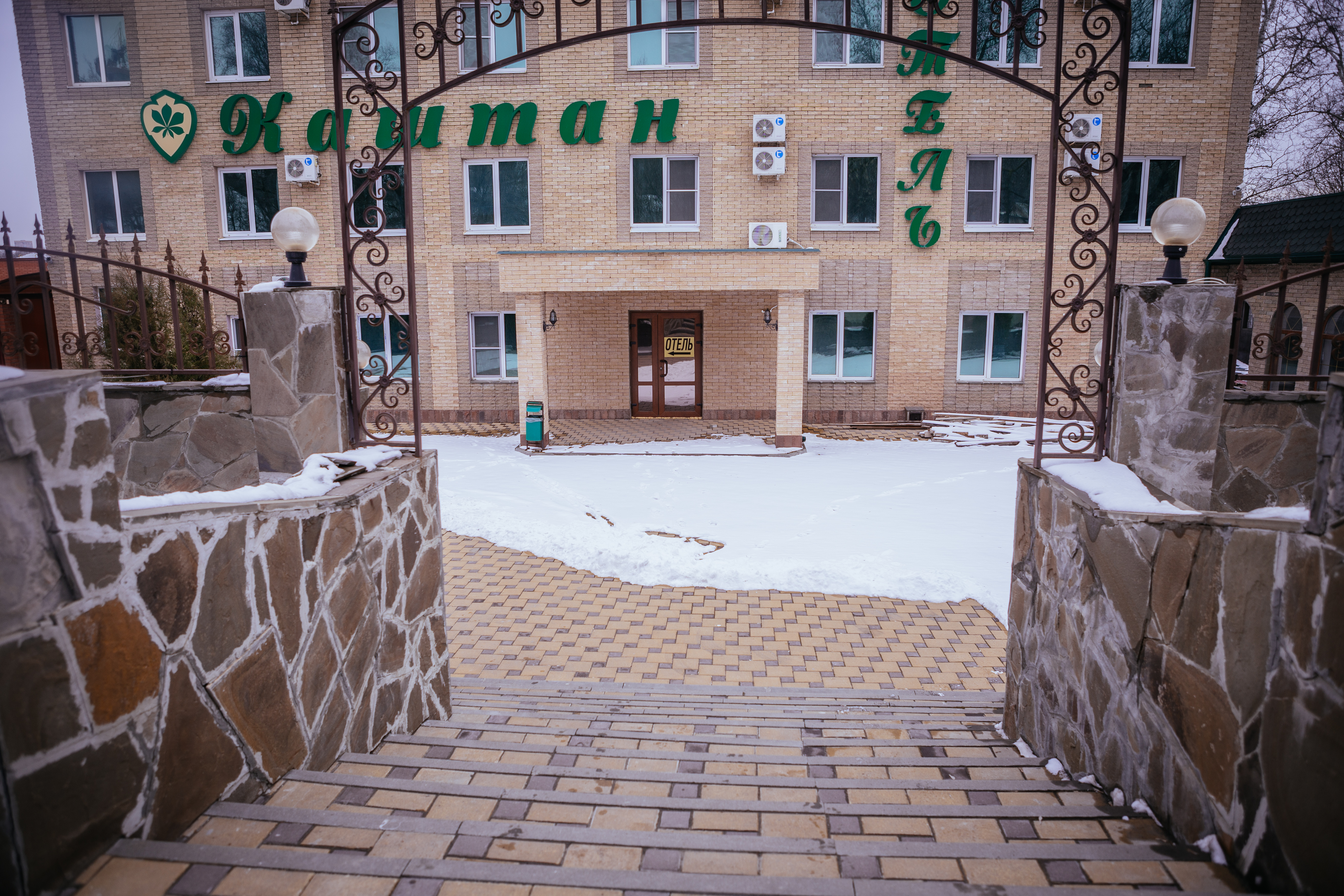 Фото Каштан