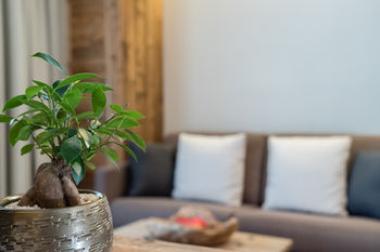 Фото Vaya S& xF6; lden fine living resort