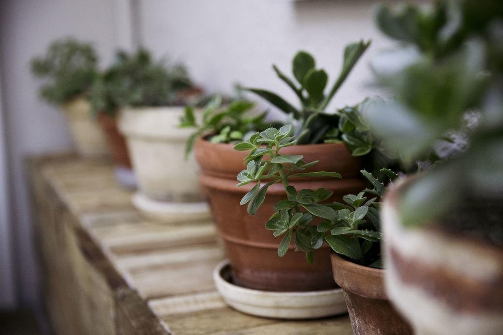 Фото Beach House Hout Bay