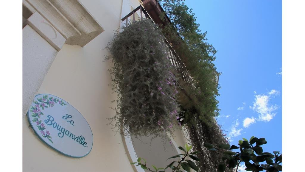 Фото La Bouganville