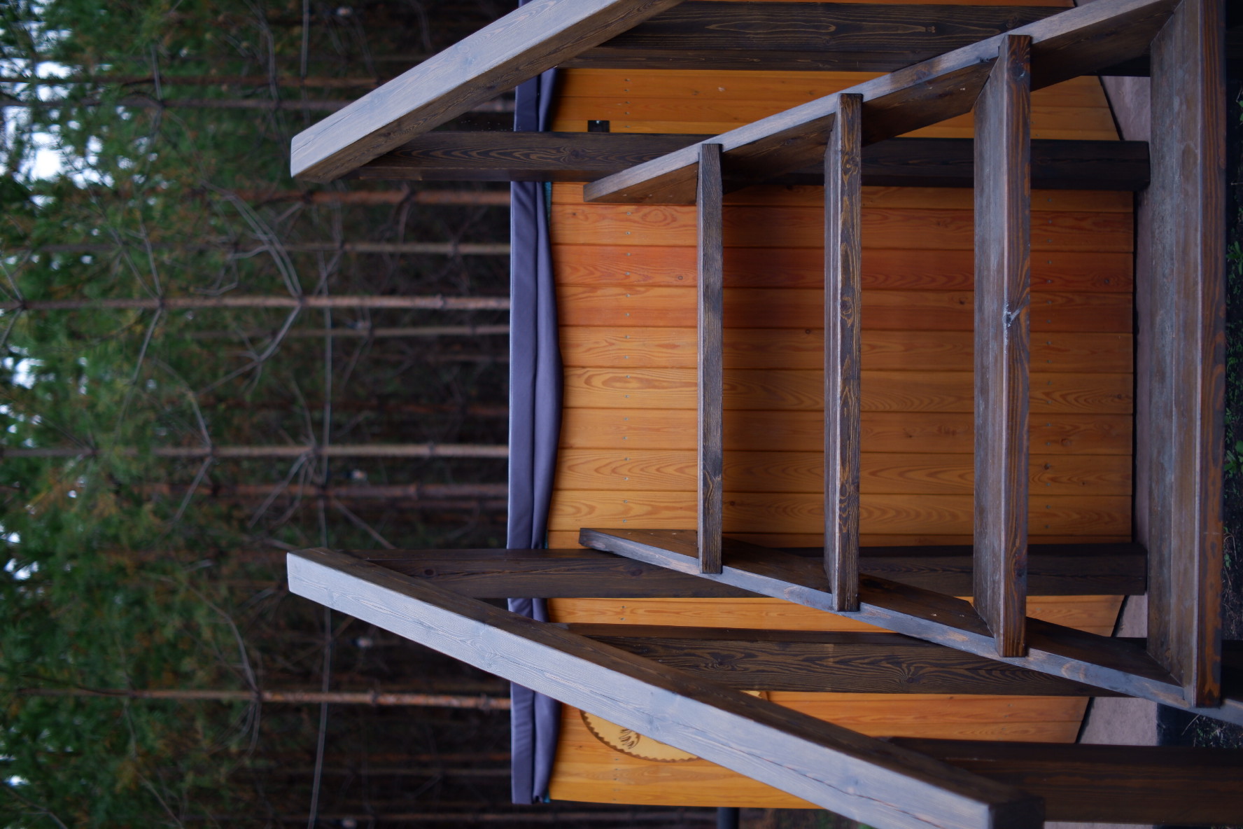 Фото Два Лося