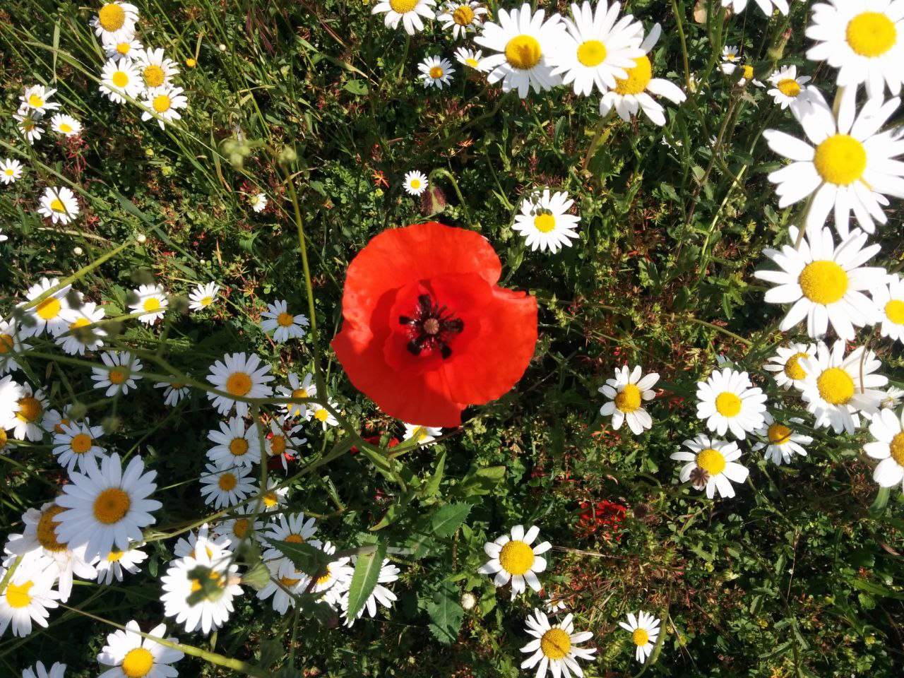 Фото Коттедж Уютный Домик