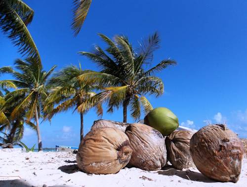 Фото Casa Pascale