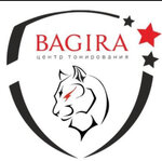 Bagira (Rybinsk, Yuzhny planirovochny rayon, Zapakhomovskiy rayon, ulitsa Truda, 99), tuning studio