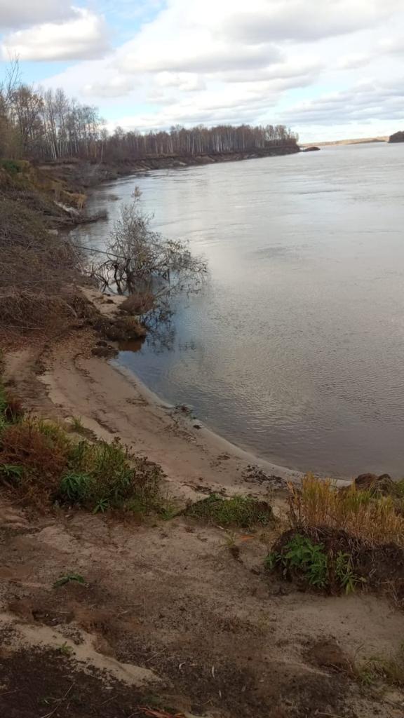 Фото Домик на дереве