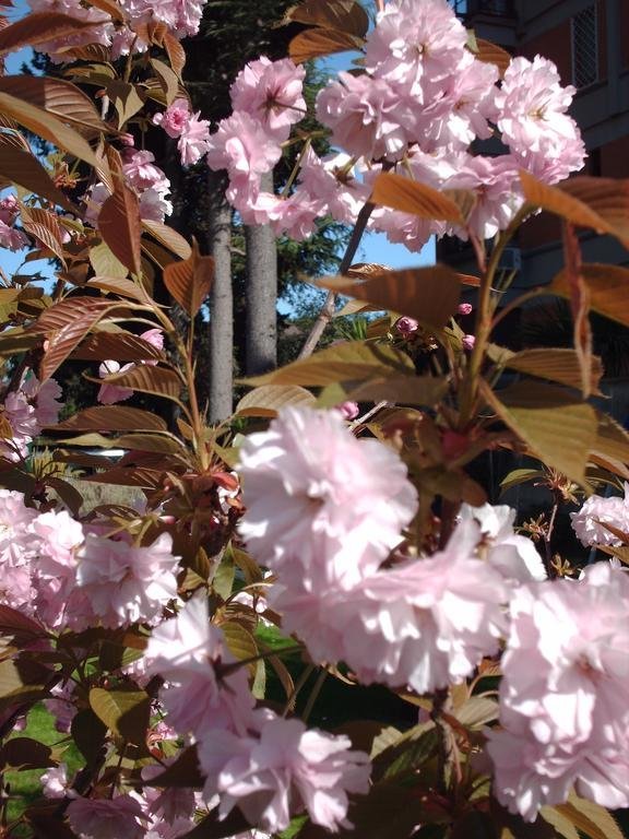 Фото Villa Maria Cristina Brando