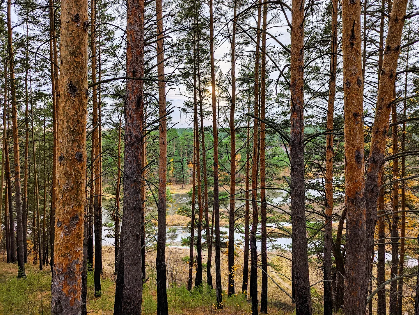 Фото Суеты. нет