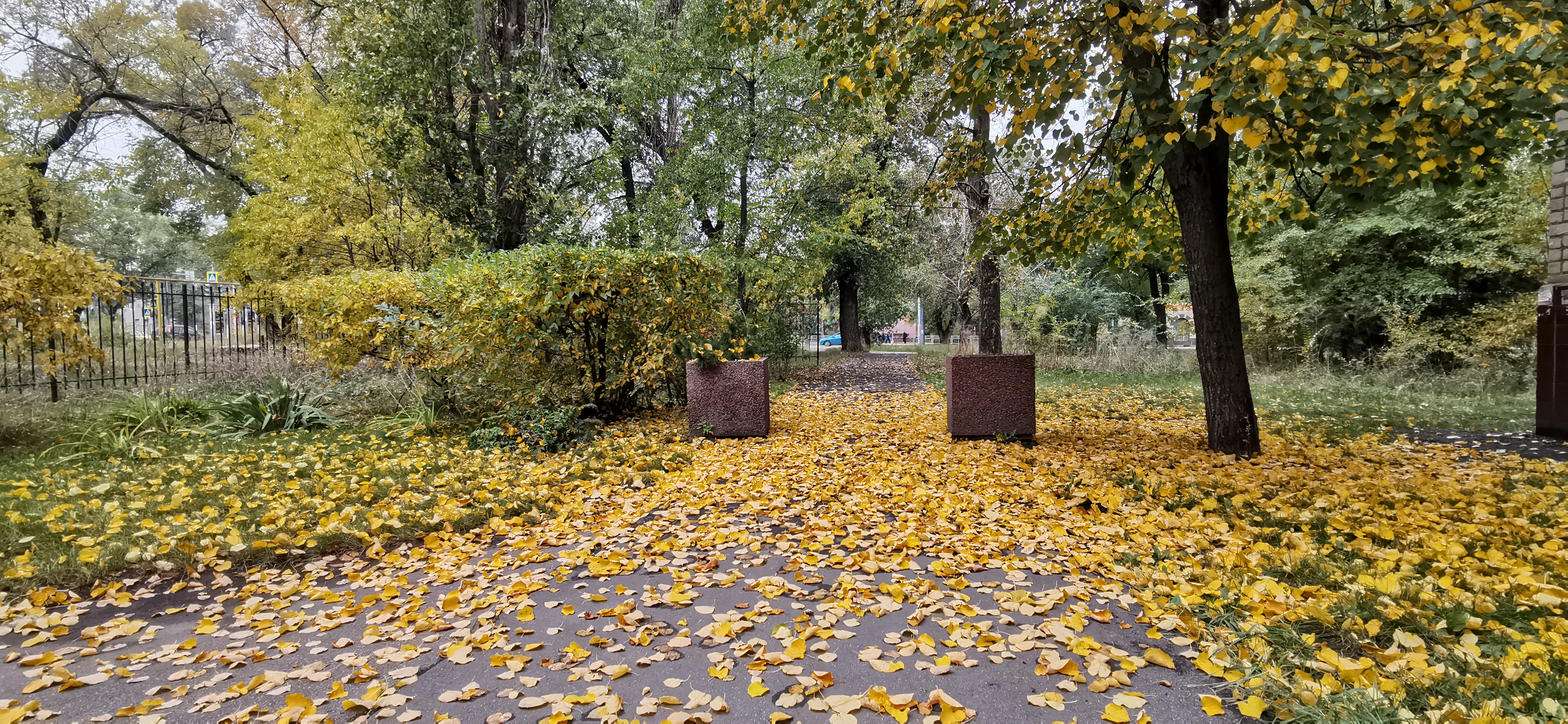 Фото НеЧаев