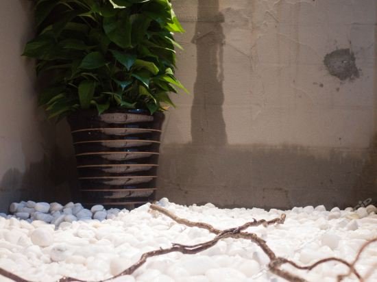 Фото Qixia Hotel