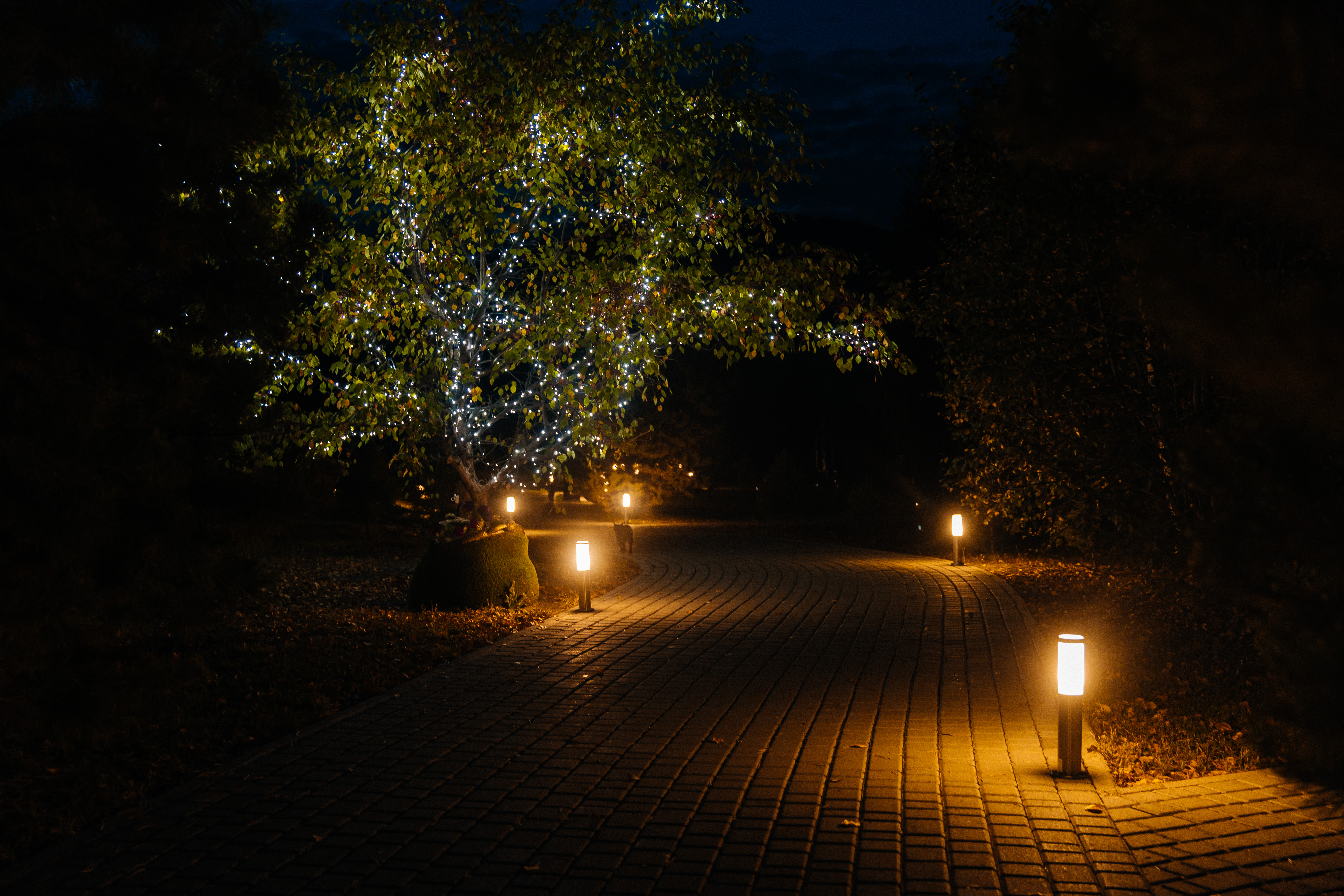 Фото Рублевское заречье