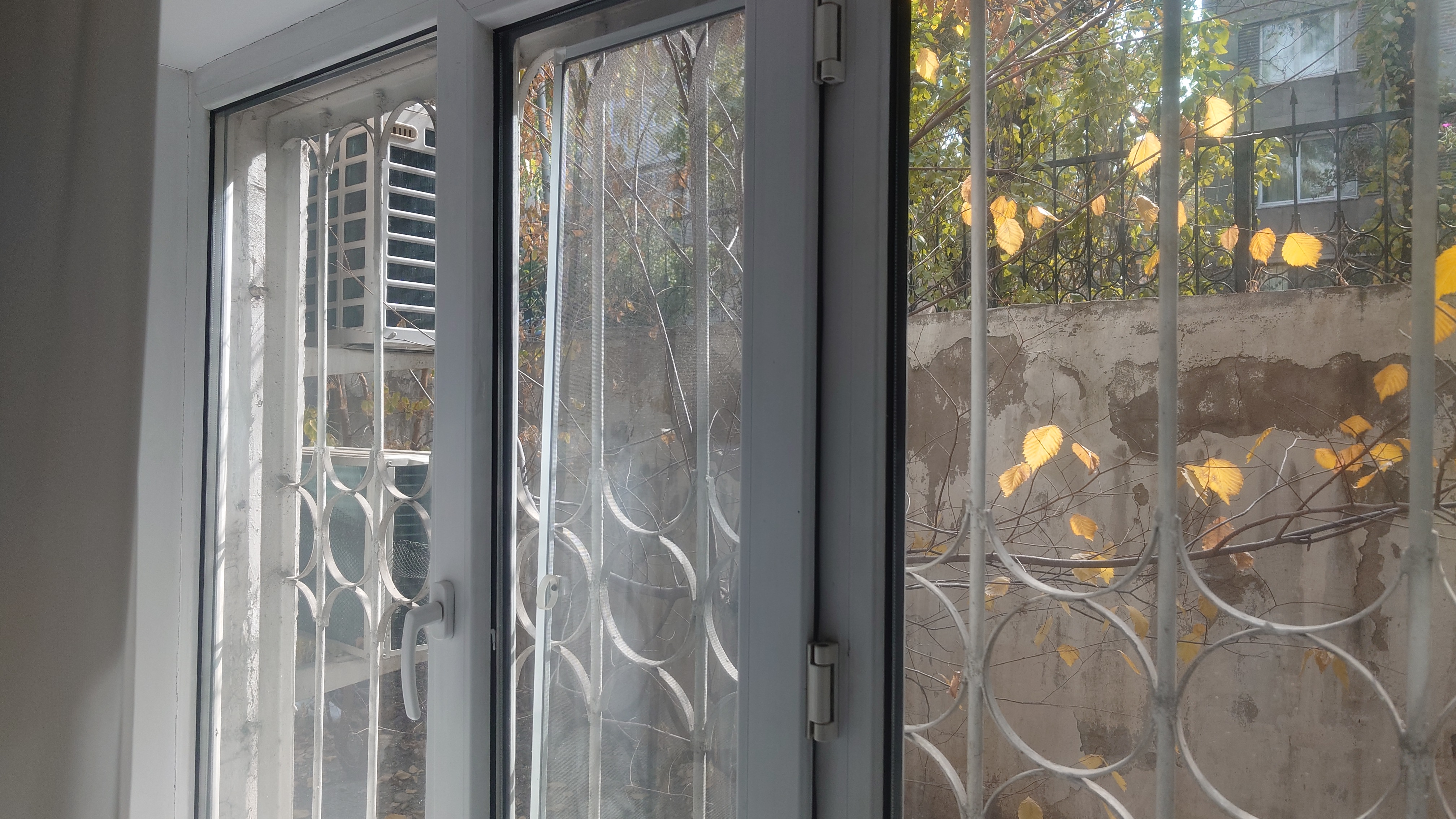 Фото Mildom Premium