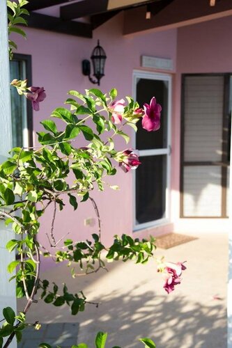 Гостиница Sol Mar Villa в Трелони