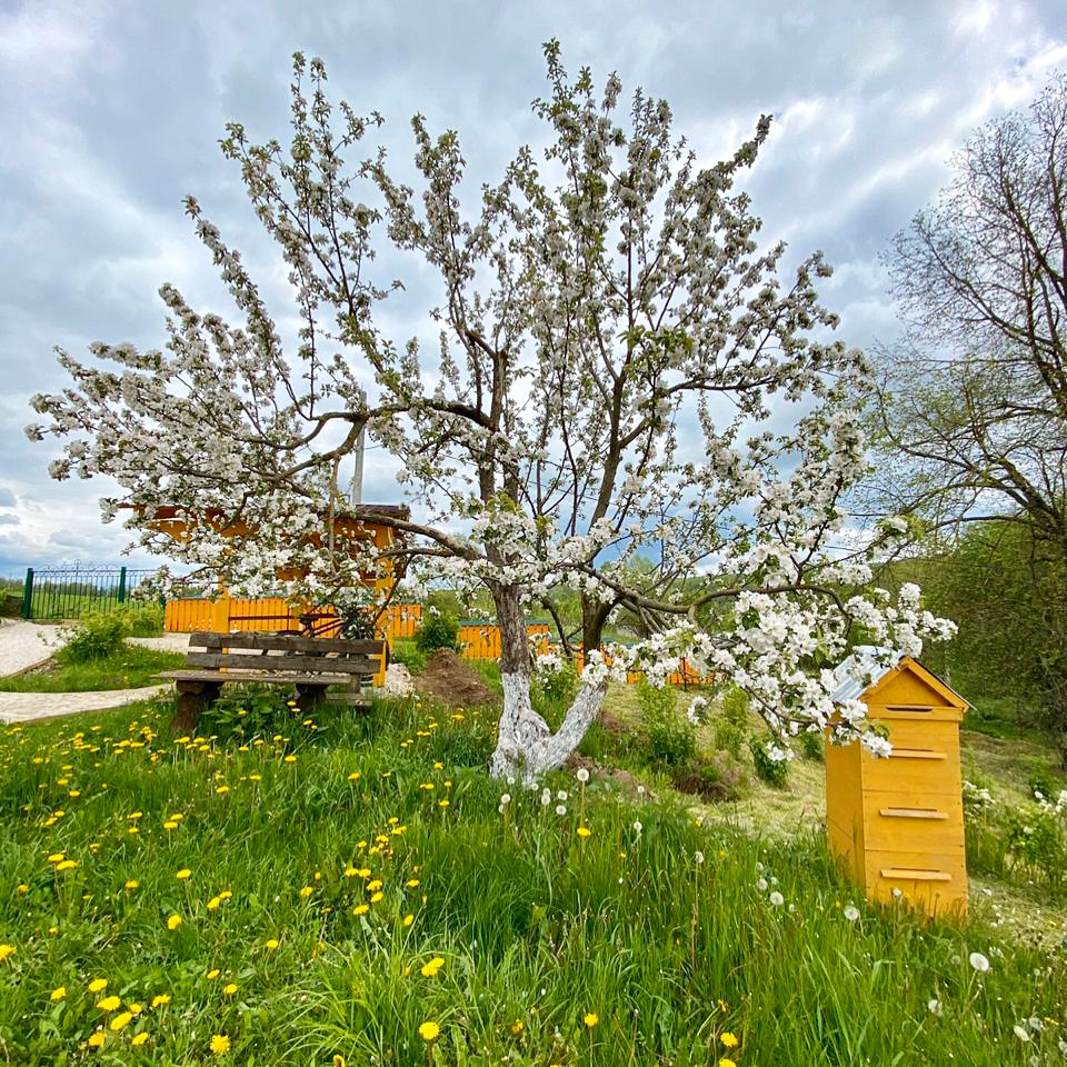 Фото Лукино