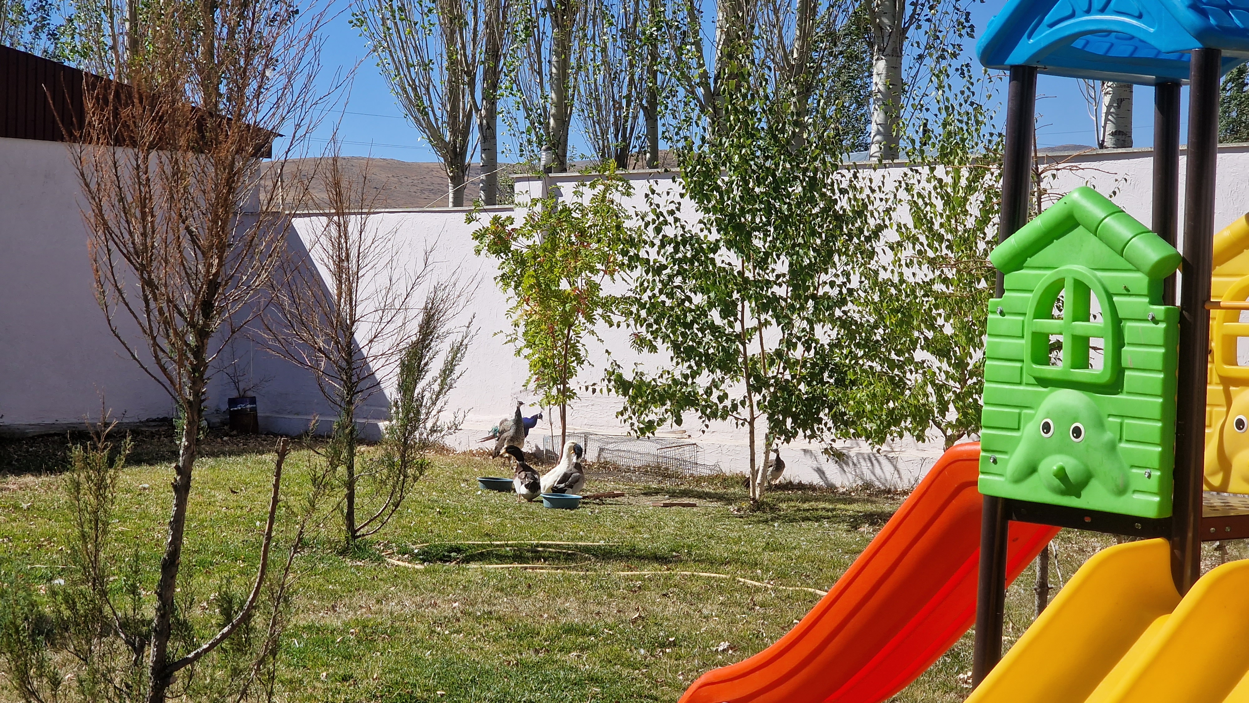 Фото Арагац