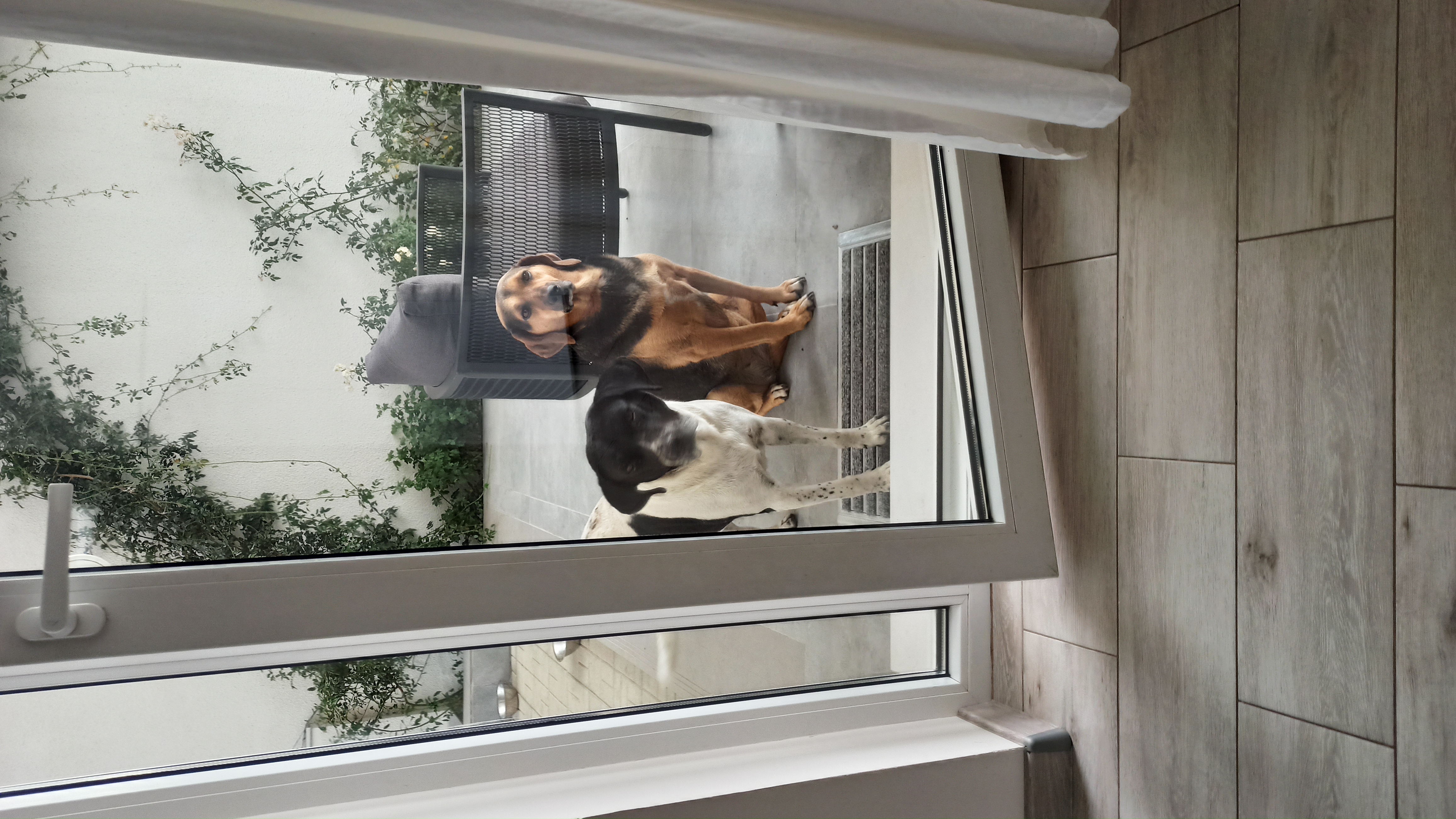 Фото Veronika Home Tbilisi