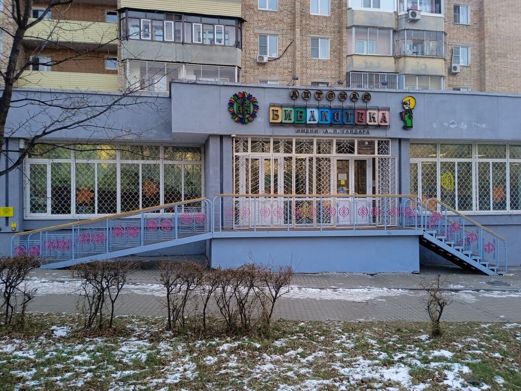 Library Централизованная система детских библиотек г. Хабаровска, Khabarovsk, photo