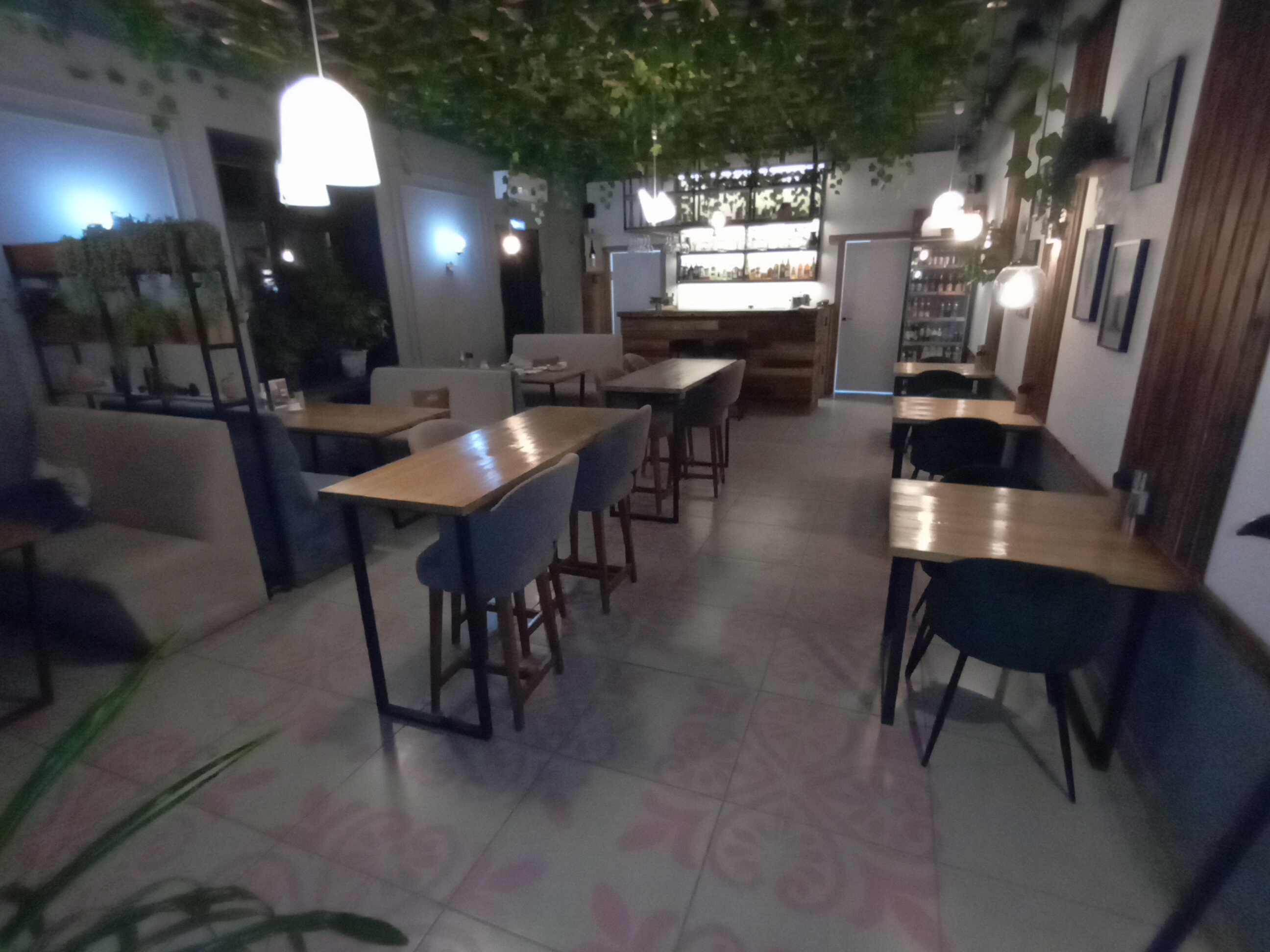 Фото Forest Hotel