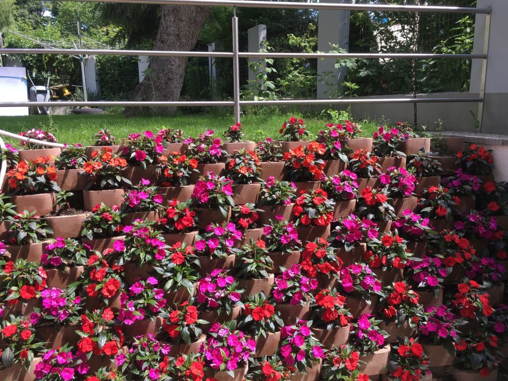 Фото Ajo Apartments Danube