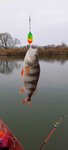 Wormmax (Malinovskogo Street, 7Б), fishing gear and supplies