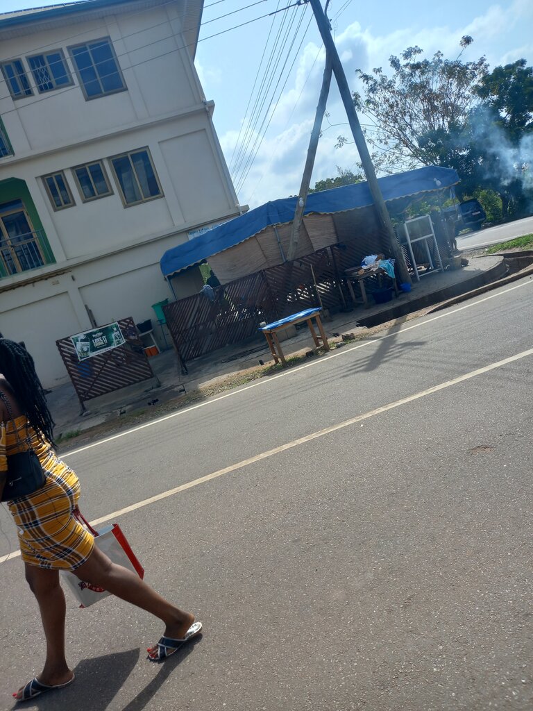 Bar, pub T-Roses, Earth, photo