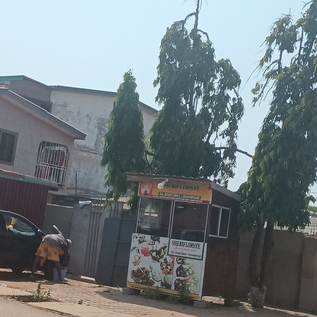 Food processing equipment Sheriflorste Special Pork Joint, Earth, photo