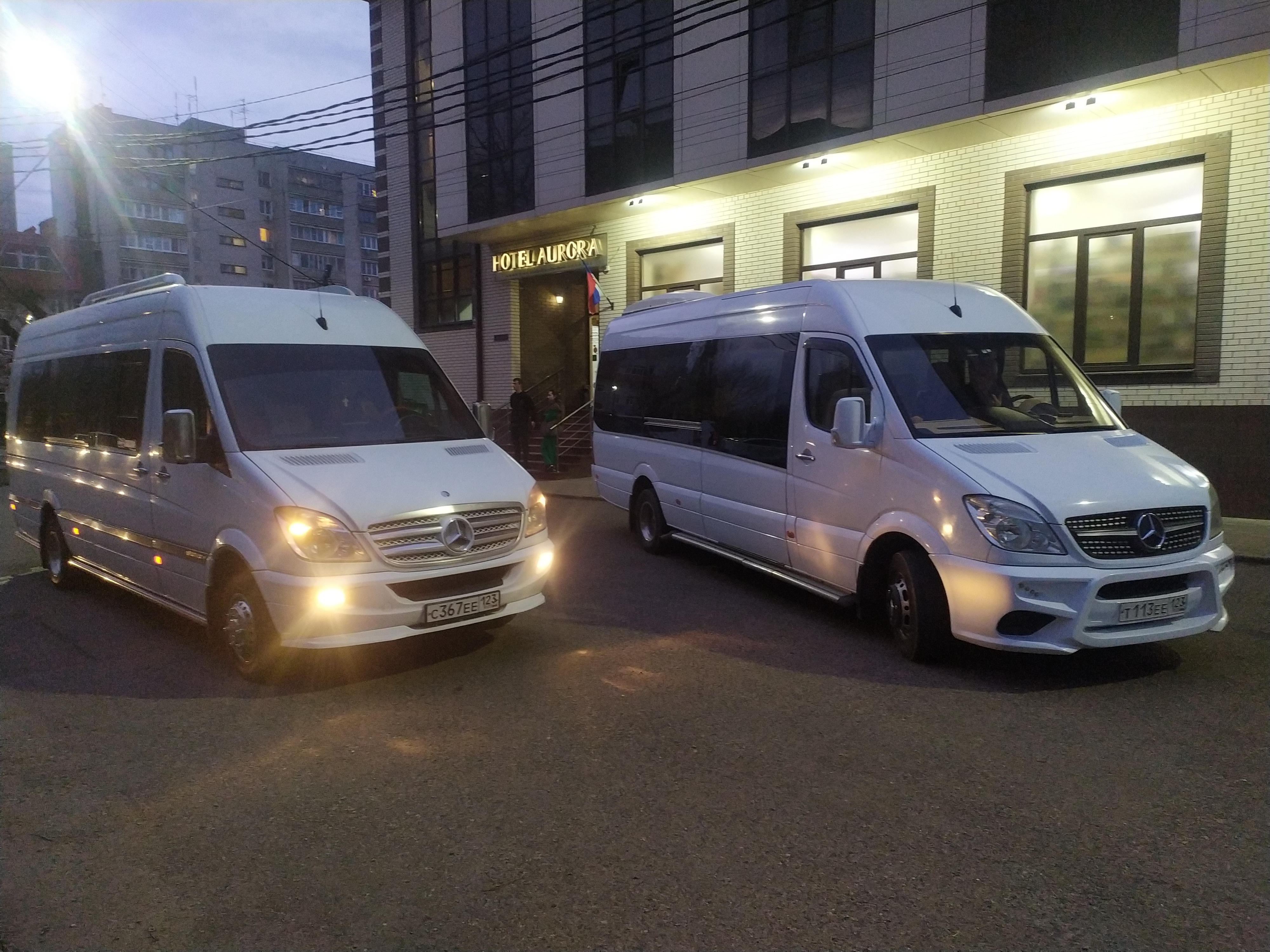 Фото Аврора