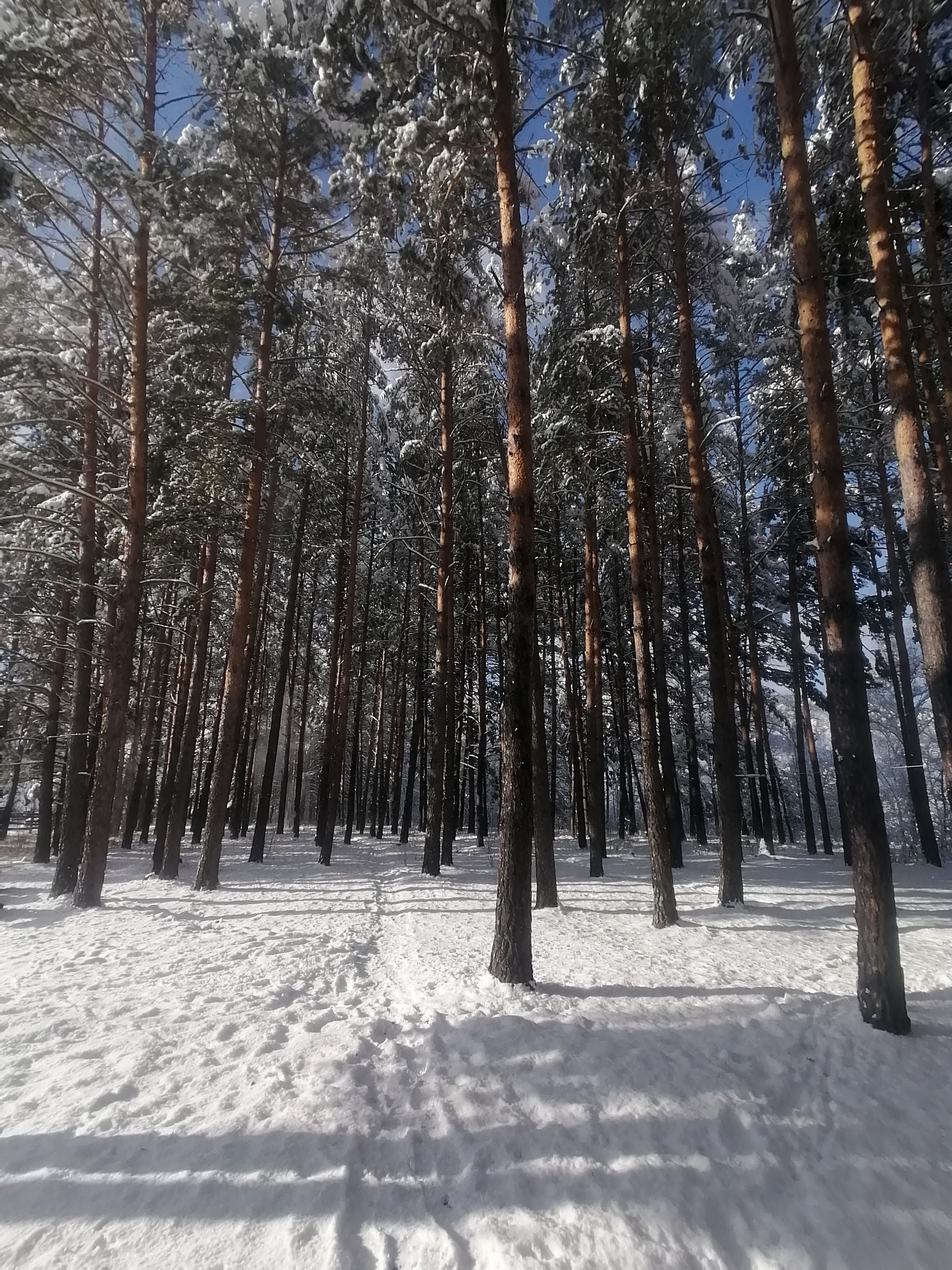 Фото Усадьба Чикмаревых