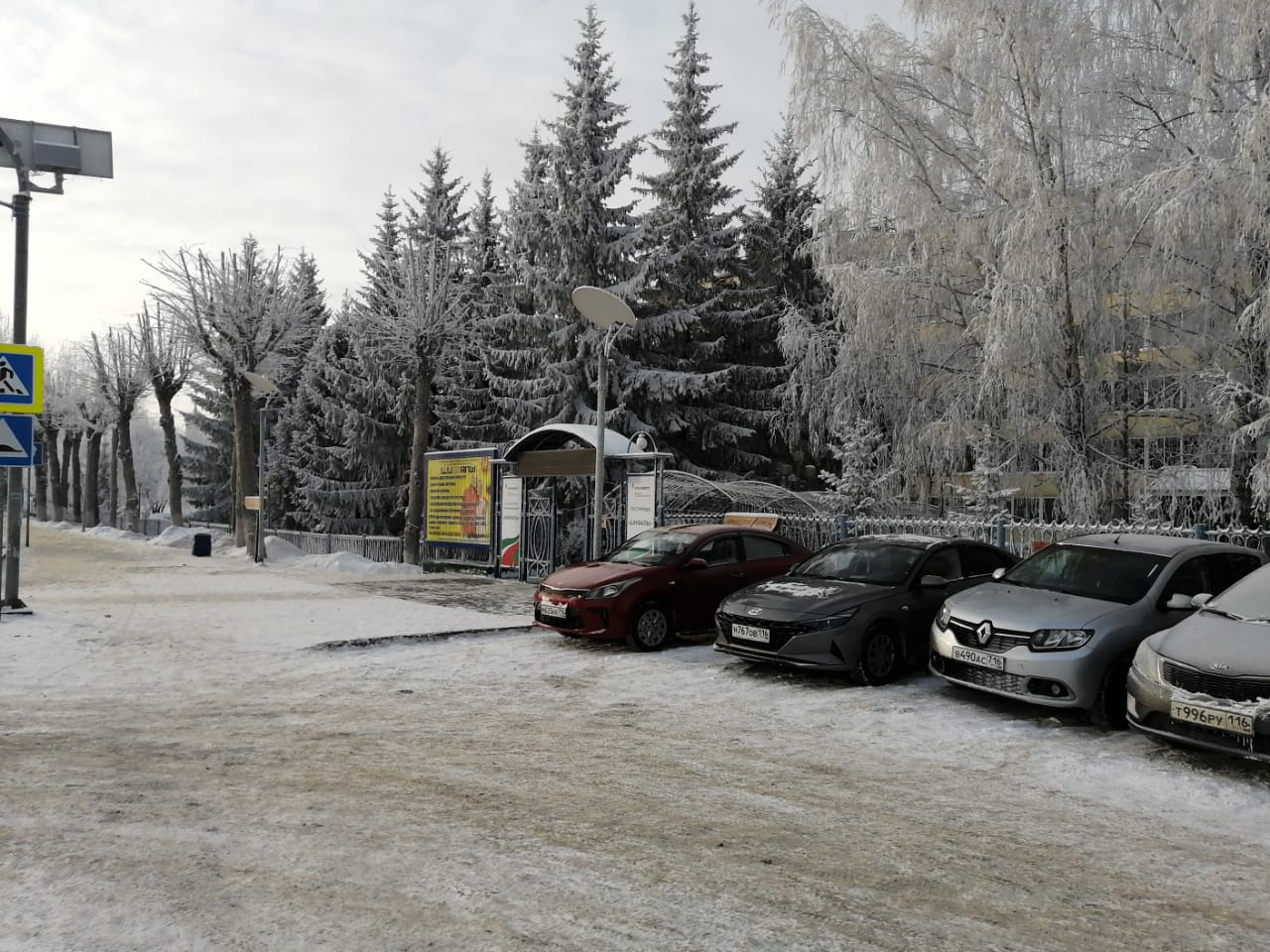 Фото Шифалы