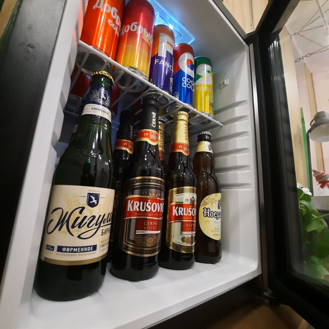 Фото Зелёный отель