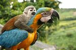 Zoo (Koli Myagotina street, 74), zoo