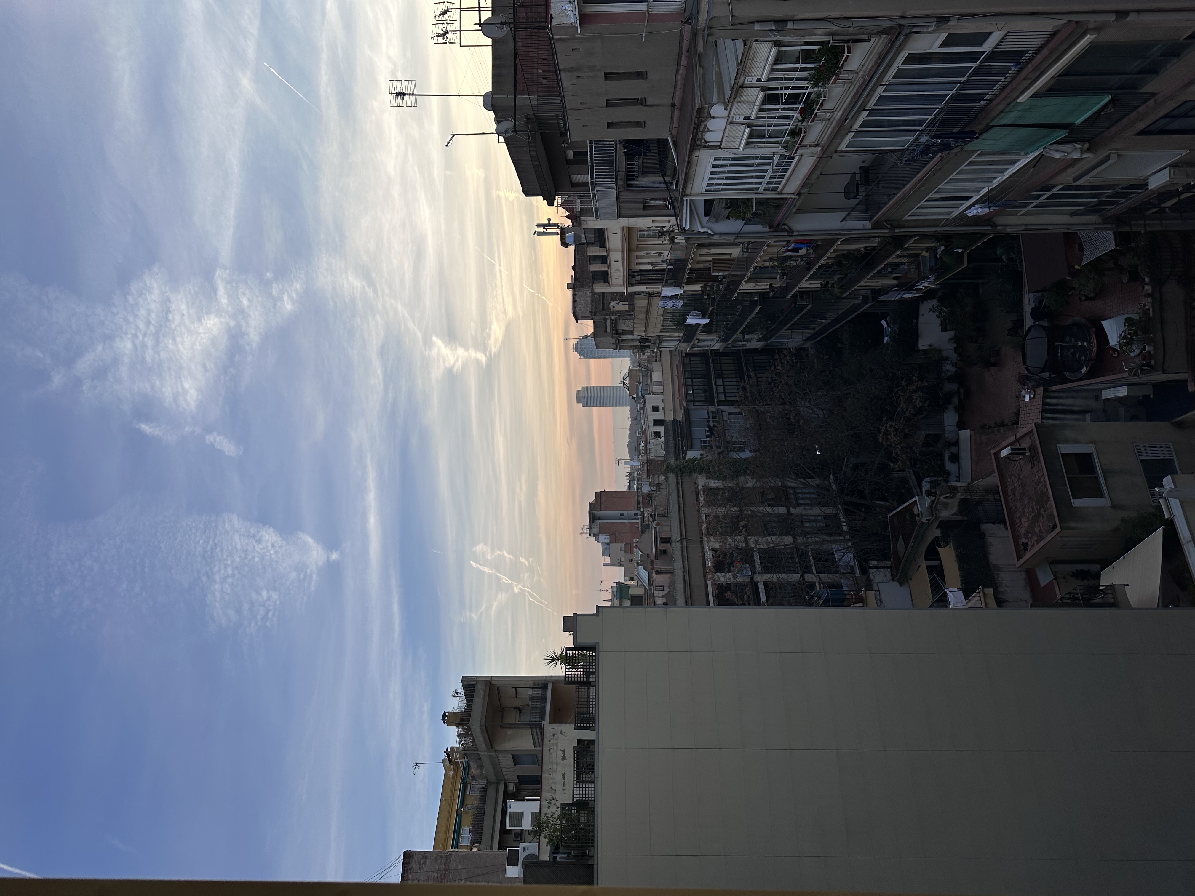 Фото Vincci Gala